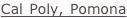 shapeimage_1_link_1